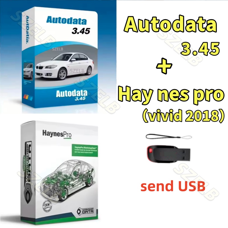 Newest hay nes pro（vivid 2018） - огляд і ціна Auto Repair Shop Software